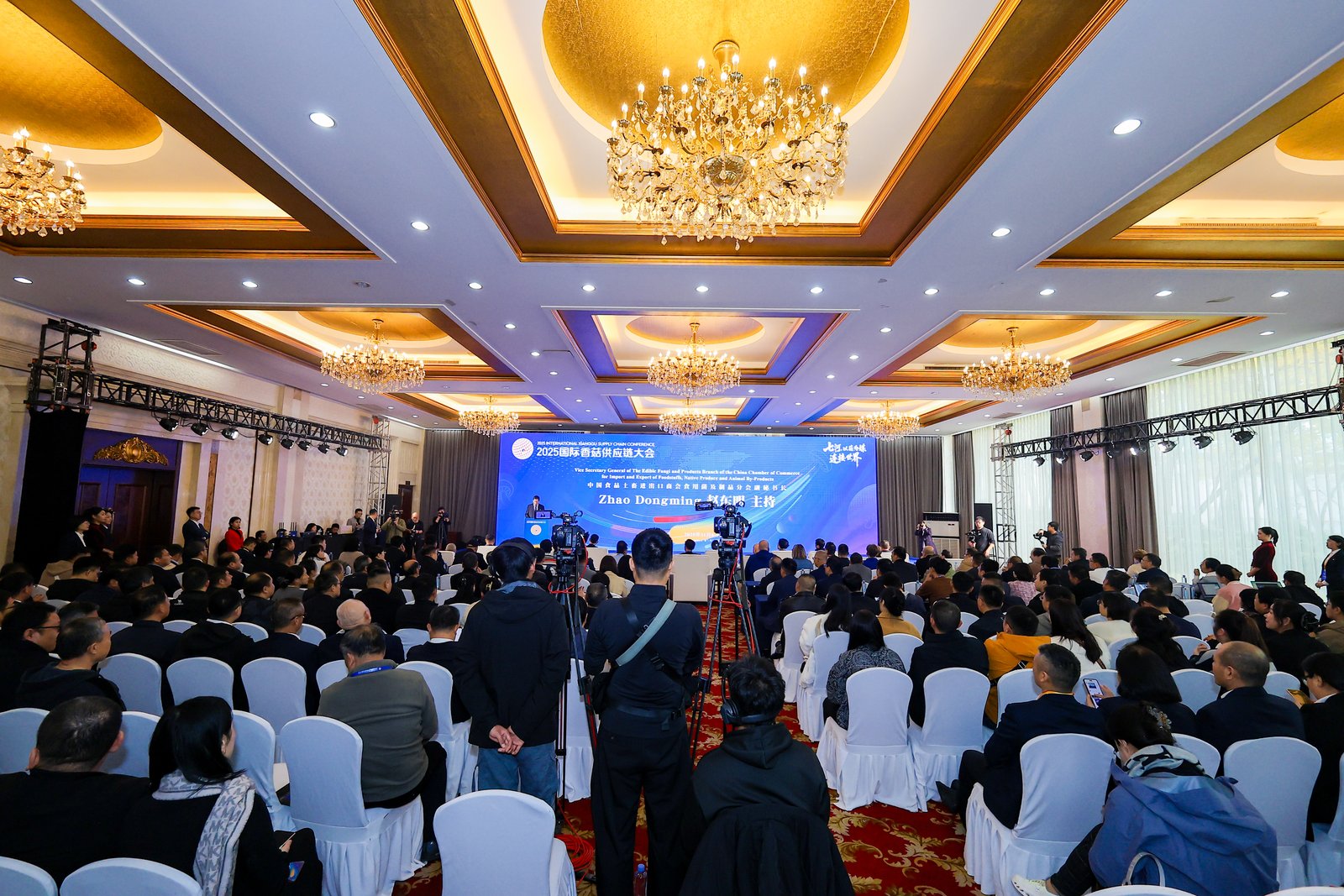 تشيهي، ربط العالم بالفطر: افتتح مؤتمر سلسلة توريد فطر شيتاكي الدولي لعام 2025 رسميًا في زيبو، شاندونغ 02.jpg 